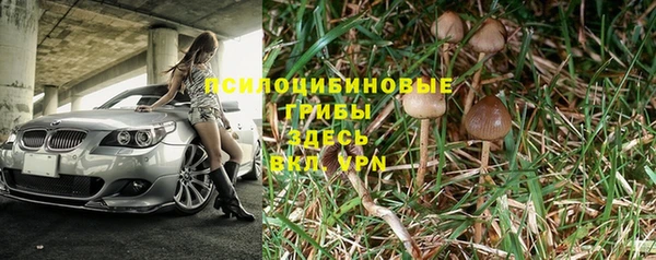 ПСИЛОЦИБИНОВЫЕ ГРИБЫ Алзамай
