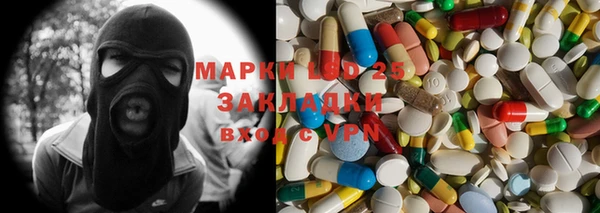 ПСИЛОЦИБИНОВЫЕ ГРИБЫ Алзамай
