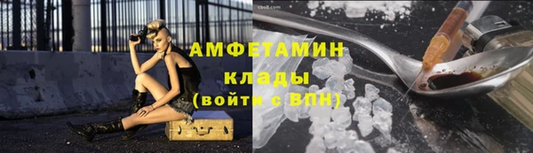 сатива Осинники
