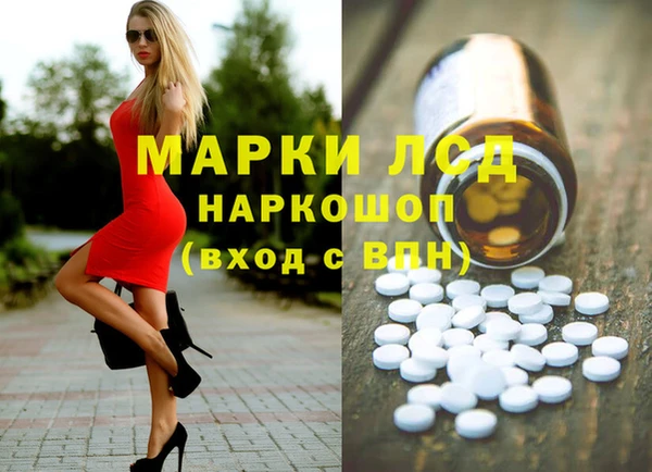 ПСИЛОЦИБИНОВЫЕ ГРИБЫ Алзамай