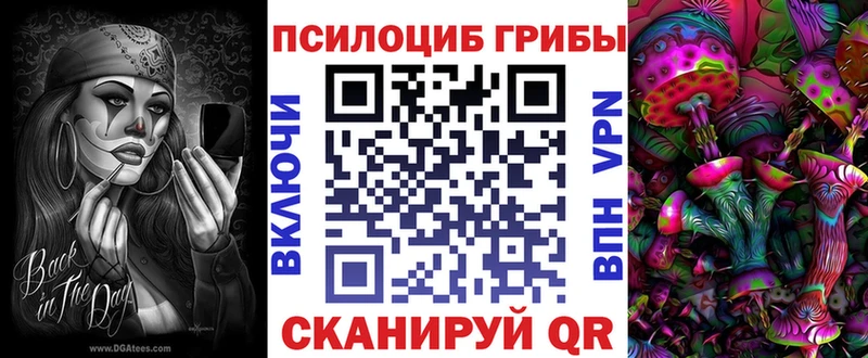 цена   Чистополь  Псилоцибиновые грибы мухоморы 