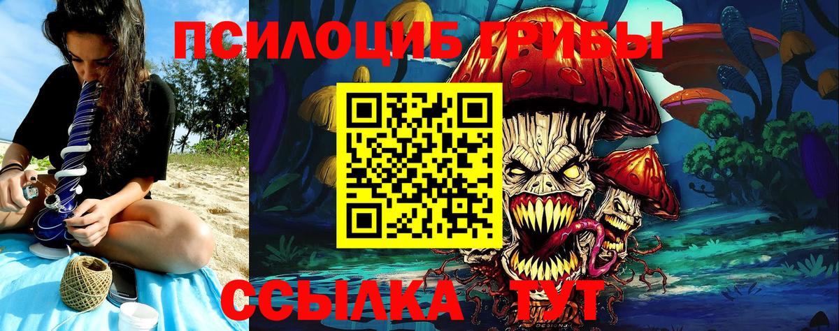 Псилоцибиновые грибы Cubensis  Вход с VPN  Галлюциногенные грибы мухоморы  Чистополь 