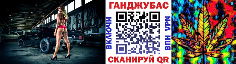 продажа наркотиков  shop какой сайт  Каннабис индика  Чистополь 